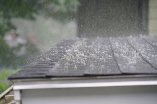 Best Commercial Roofing Services  in Bristol, TN