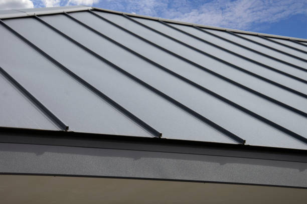 Best Roof Moss and Algae Removal  in Bristol, TN